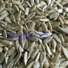 New Crop Lady Nail Sun Flower Seeds Kernel